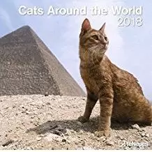 2018 CALENDAR CATS AROUND THE WORLD 30 X 30