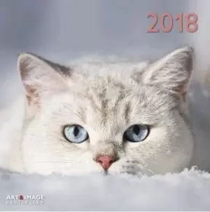 2018 CALENDAR CATS 30 X 30