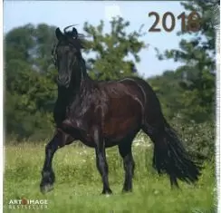 2018 CALENDAR HORSES 30 X 30