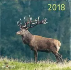 2018 CALENDAR FOREST AND MEADOW ANIMALS 30 X 30