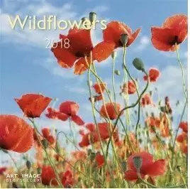 2018 CALENDAR WILDFLOWERS 30 X 30