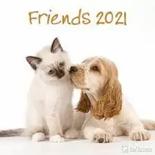 CALENDARIO 2021 FRIENDS 30X30
