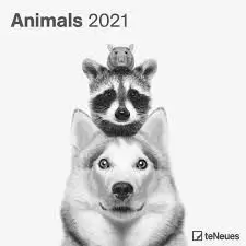 CALENDARIO 2021 ANIMALS 30X30