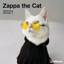 CALENDARIO 2021 ZAPPA THE CAT 30X30