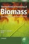 THERMOCHEMICAL PROCESSING OF BIOMASS CONVERSION INTO FUELS