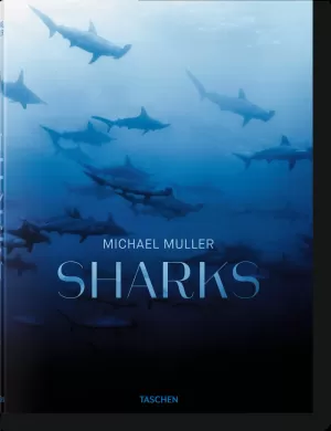 SHARKS
