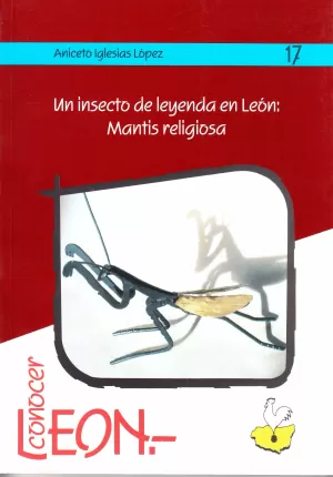 UN INSECTO DE LEYENDA EN LEON MANTIS RELIGIOSA