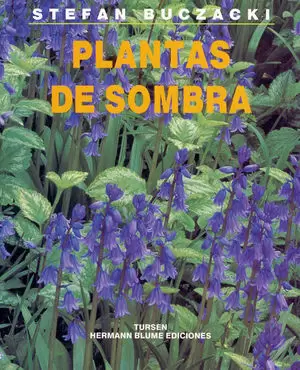 PLANTAS DE SOMBRA