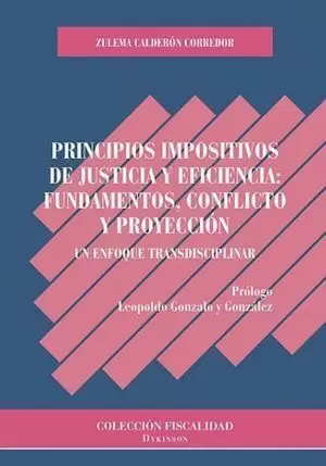 PRINCIPIOS IMPOSITIVOS DE JUSTICIA Y EFICIENCIA: FUNDAMENTOS, CONFLICTO Y PROYEC