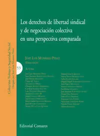 DERECHOS DE LIBERTAD SINDICAL Y DE NEGOCIACIÓN COLECTIVA EN UNA PERSPECTIVA, LOS